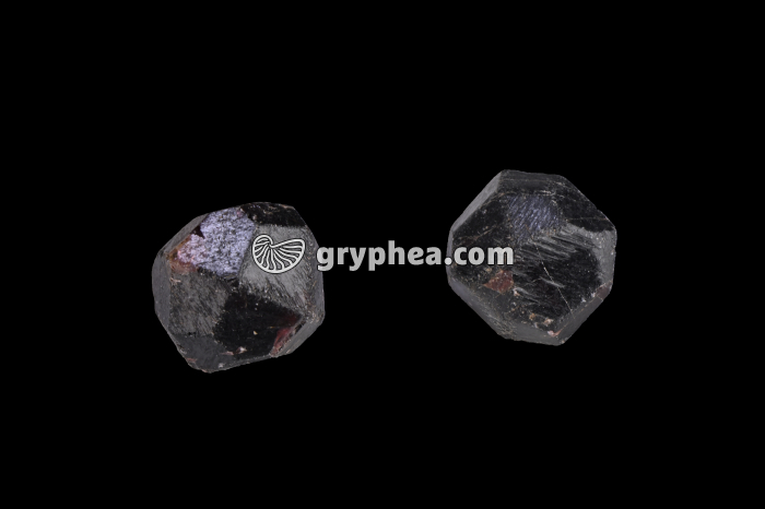 Grenats automorphes (diamètre = 16 mm) - gryphea.com